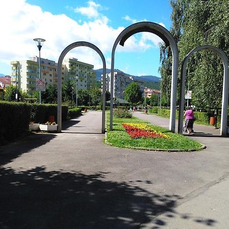 Apartament Nora Braşov Exterior foto