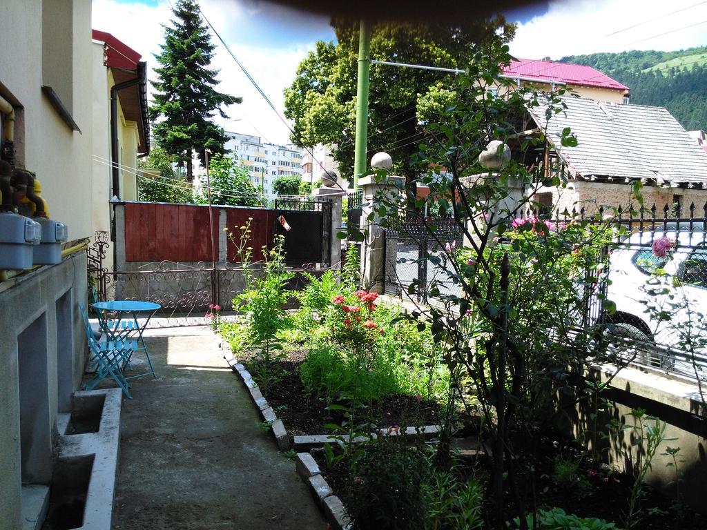 Apartament Nora Braşov Exterior foto